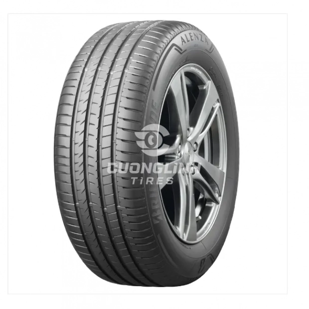 Lốp Bridgestone 225/55R19